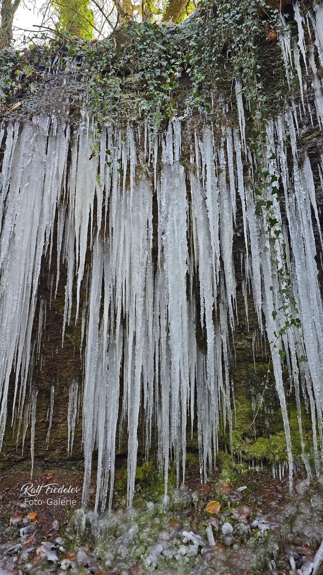 Eiszapfen am Baumbach beim Schafshof bei Hechelbach