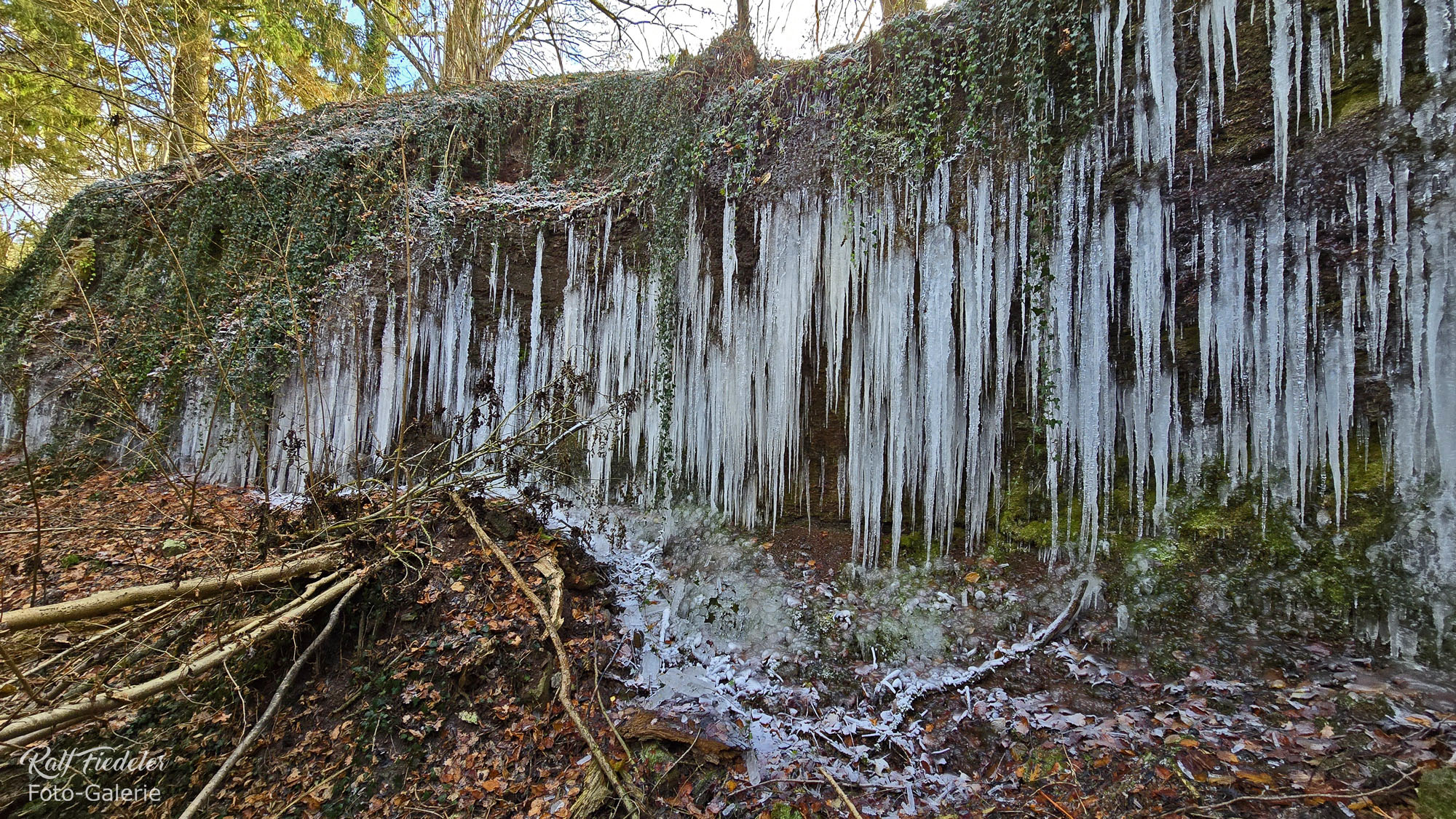 Eiszapfen am Baumbach beim Schafshof bei Hechelbach