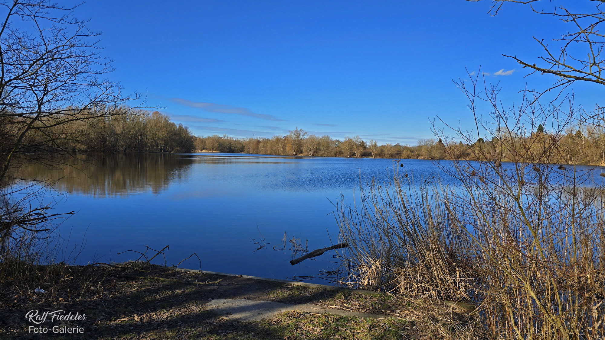 Großen Ricklinger Teich bei Hemmingen von der Südseite aus