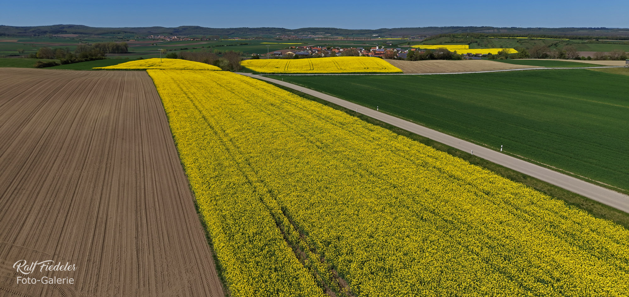 Rapsfelder beim Freimarkungsstein auf dem Osing