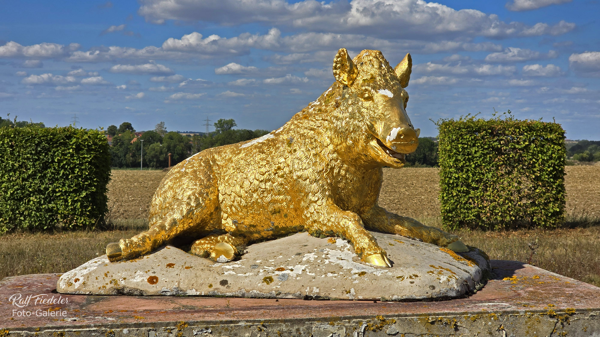 Goldene Wildsau im Park von Schloss Walkershofen